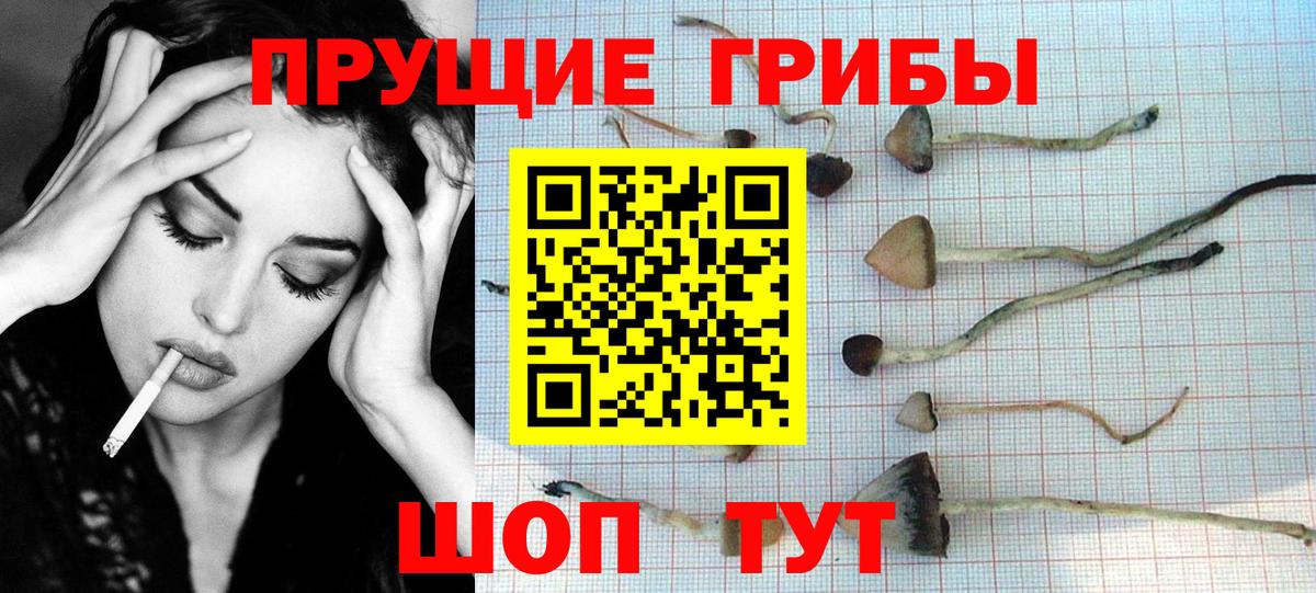 Галлюциногенные грибы ЛСД  Галлюциногенные грибы Cubensis  Вход с VPN  Вольск 